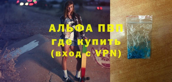 стаф Алексин